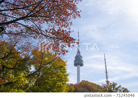 Seoul N Tower, Jung-gu, Seoul Seoul N Tower, Jung-gu, Seoul 71245046
