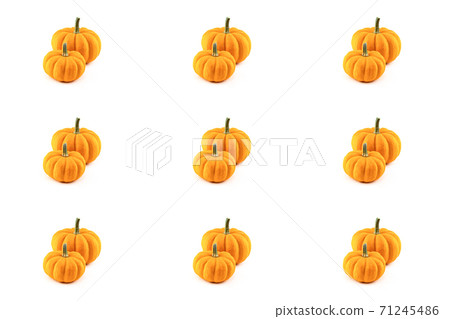 set of pumpkins orange autumn and halloween symbol on isolated white background set of pumpkins orange autumn and halloween symbol on isolated white background 71245486