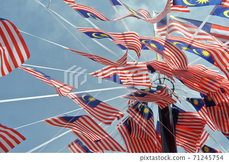 SELANGOR, MALAYSIA -AUGUST 31, 2017: Selective focused small size Malaysia flag tie in large quantities in windy air. SELANGOR, MALAYSIA -AUGUST 31, 2017: Selective focused small size Malaysia flag tie in large quantities in windy air. 71245754