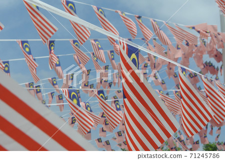 SELANGOR, MALAYSIA -AUGUST 31, 2017: Selective focused small size Malaysia flag tie in large quantities in windy air.  71245786