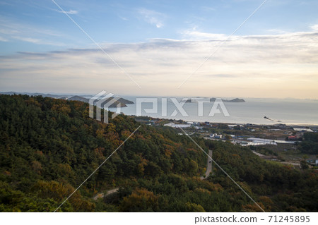 Seongamdo, Daebudo, Ansan City Seongamdo, Daebudo, Ansan City 71245895