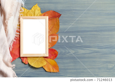 Autumn concept with copy space frame and leaves 71246013