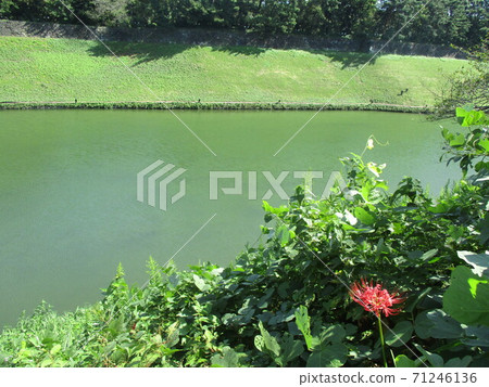 Hanzō護城河 Hanzō護城河 71246136