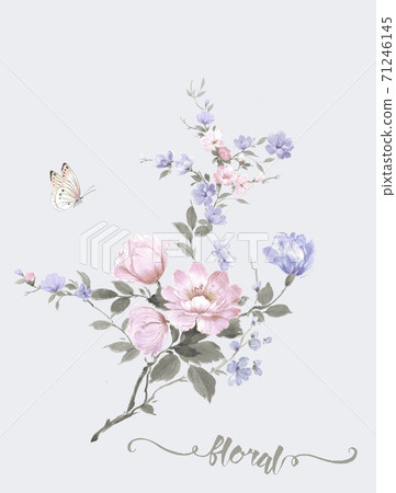 色彩豐富的花卉素材組合和設計元素 色彩豐富的花卉素材組合和設計元素 71246145