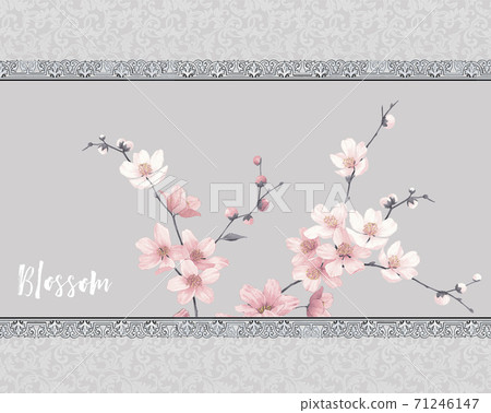  色彩豐富的花卉素材組合和設計元素 71246147