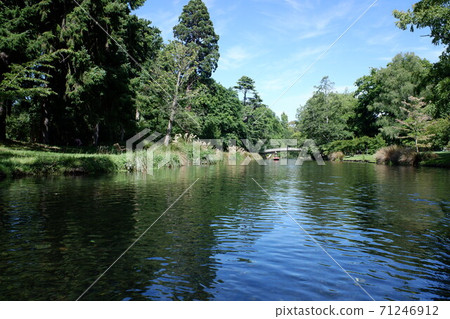 Christchurch Elegant punting on the Avon River 71246912