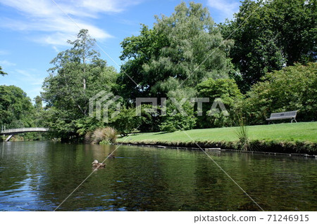 基督教堂在雅芳河上優雅地踢水 基督教堂在雅芳河上優雅地踢水 71246915