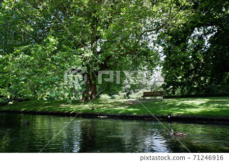 Christchurch Elegant punting on the Avon River 71246916