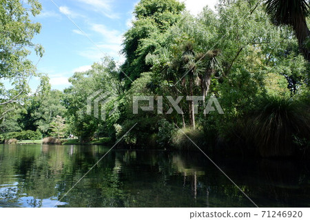 Christchurch Elegant punting on the Avon River Christchurch Elegant punting on the Avon River 71246920