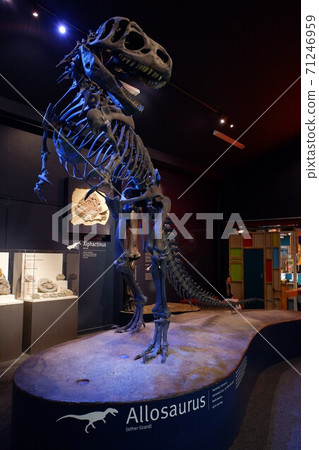 坎特伯雷博物館,新西蘭南島上最大的博物館之一 坎特伯雷博物館,新西蘭南島上最大的博物館之一 71246959