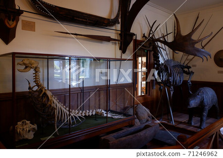 坎特伯雷博物館,新西蘭南島上最大的博物館之一 坎特伯雷博物館,新西蘭南島上最大的博物館之一 71246962