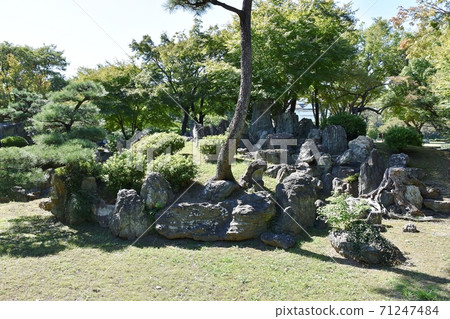 Nagoya Castle Ninomaru Garden 71247484