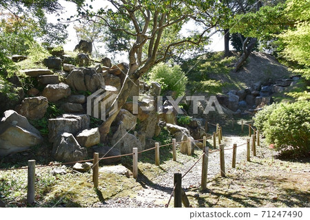 Nagoya Castle Ninomaru Garden 71247490