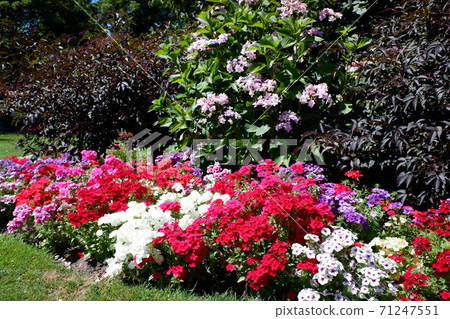 Christchurch, a garden city that retains the English-style cityscape and British culture Christchurch, a garden city that retains the English-style cityscape and British culture 71247551