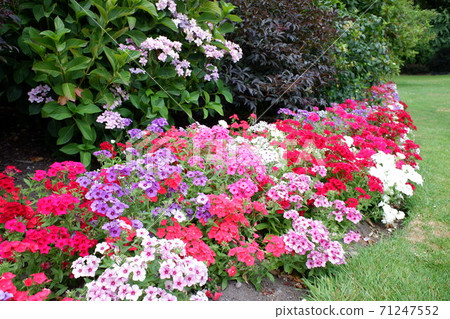 Christchurch, a garden city that retains the English-style cityscape and British culture Christchurch, a garden city that retains the English-style cityscape and British culture 71247552