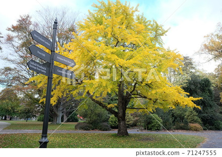 Christchurch, a garden city that retains the English-style cityscape and British culture Christchurch, a garden city that retains the English-style cityscape and British culture 71247555