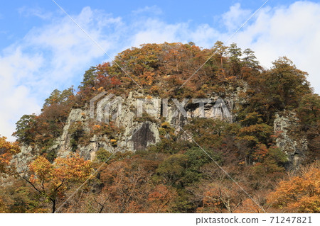 新鶴井（Daihorai） 71247821