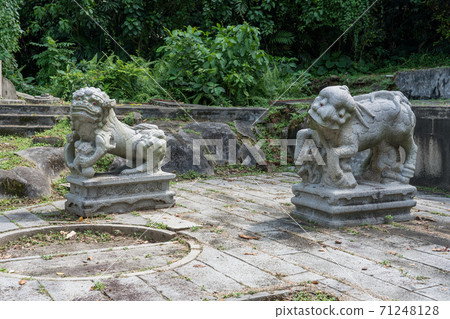 [Singapore] A guardian dog in the graveyard of hua Seah Neo and Madam Wuing Neo 71248128