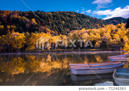 Shiga Kogen Kidoike Autumn Leaves 71248363