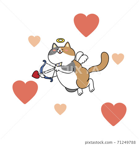 Cupid cat Cupid cat 71249788