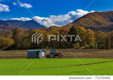 長野縣川上村秋天的田園風光 71250460