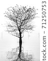 The dead tree in the middle of the lake was dead without leaves, leaving only branches to let the birds rest for a while. 71250753