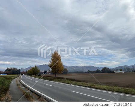 A landscape with a road that extends far A landscape with a road that extends far 71251848