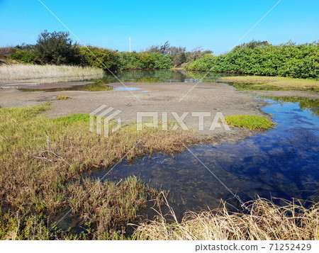 新竹市南寮十七公里海岸線 新竹市南寮十七公里海岸線 71252429