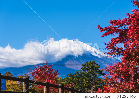 Mt. Fuji in autumn in Yamanashi Prefecture Yamanakako Autumn Leaves Festival Asahigaoka Lakeside Green Park Mt. Fuji seen from the lakeside 71252440