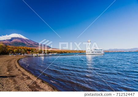 Mt. Fuji in autumn in Yamanashi Prefecture Yamanakako Autumn Leaves Festival Asahigaoka Lakeside Green Park Mt. Fuji seen from the lakeside Mt. Fuji in autumn in Yamanashi Prefecture Yamanakako Autumn Leaves Festival Asahigaoka Lakeside Green Park Mt. Fuji seen from the lakeside 71252447