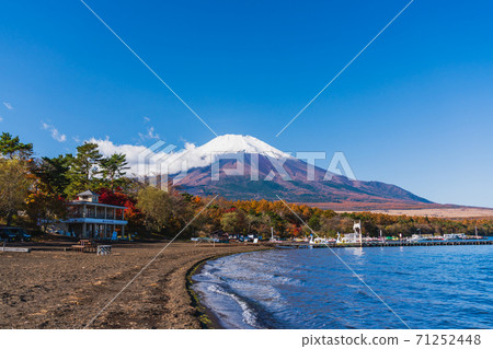 山梨縣秋天的富士山,山中湖秋葉節,朝日丘岡湖邊綠色公園,從湖邊看到的富士山 山梨縣秋天的富士山,山中湖秋葉節,朝日丘岡湖邊綠色公園,從湖邊看到的富士山 71252448