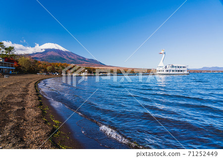 Mt. Fuji in autumn in Yamanashi Prefecture Yamanakako Autumn Leaves Festival Asahigaoka Lakeside Green Park Mt. Fuji seen from the lakeside Mt. Fuji in autumn in Yamanashi Prefecture Yamanakako Autumn Leaves Festival Asahigaoka Lakeside Green Park Mt. Fuji seen from the lakeside 71252449