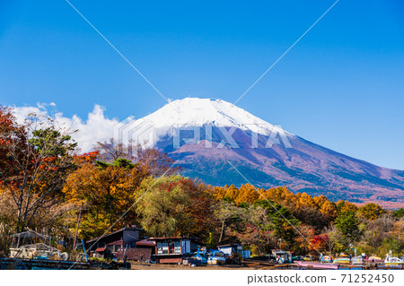 山梨縣秋天的富士山 山中湖秋葉節 朝日丘岡湖邊綠色公園 從湖邊看到的富士山 照片素材 圖片 圖庫