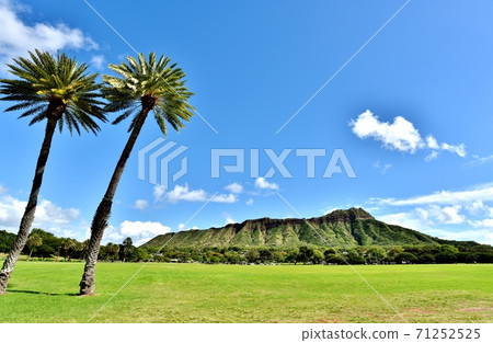 夏威夷的假期 夏威夷的假期 71252525