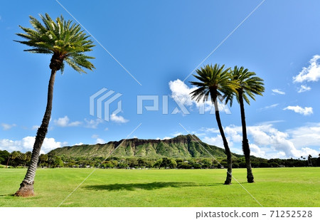 Holidays in Hawaii 71252528