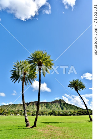 夏威夷的假期 71252531