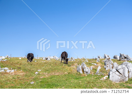 四國喀斯特景觀 四國喀斯特景觀 71252754