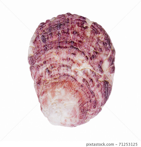 sea shell isolated on white 71253125