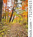 Beautiful colorful autumn leaves of red, yellow and orange 71254015