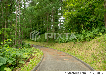 A bend road A bend road 71254017