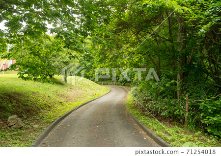 A bend road A bend road 71254018