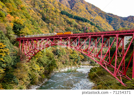 Niiyama Hikobashi and Kurobe Gorge Railway 71254371