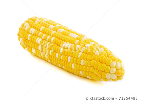 Corn isolate on white background 71254483