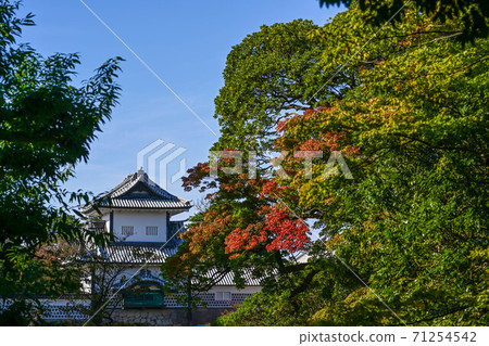 Autumn leaves of Kanazawa Castle 71254542