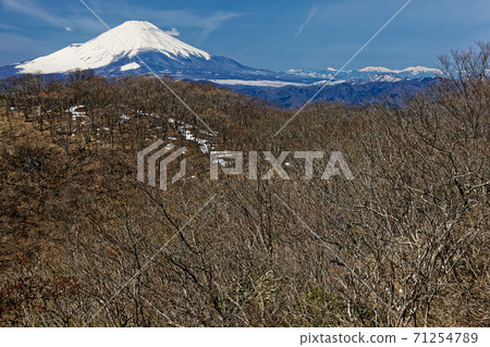 早春時眺望田澤/鍋邊山和富士山/南阿爾卑斯山的景色 71254789