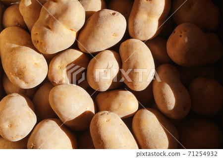 紙箱裡的北海道馬鈴薯。像栗子一樣甜又耐嚼，印加的覺醒 71254932