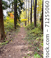 A mountain trail rich in nature in the mountains 71255060