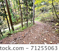 Mountain trail on a steep slope with abundant nature 71255063