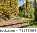 A mountain road with beautiful autumn leaves dyed in yellow 71255064