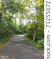 Mountain trail with beautiful greenery 71255072
